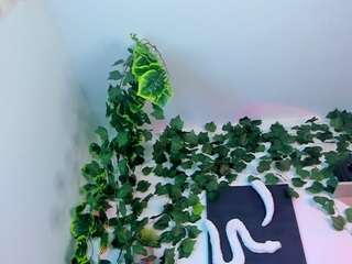 nataliepeterson — Camsoda recorded stream image, 30.04.2025 20:20