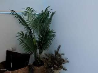 annwill — Camsoda recorded stream image, 03.05.2025 21:10