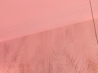 Eva Sin — Flirt4free recorded stream screenshot (14 May 2025)